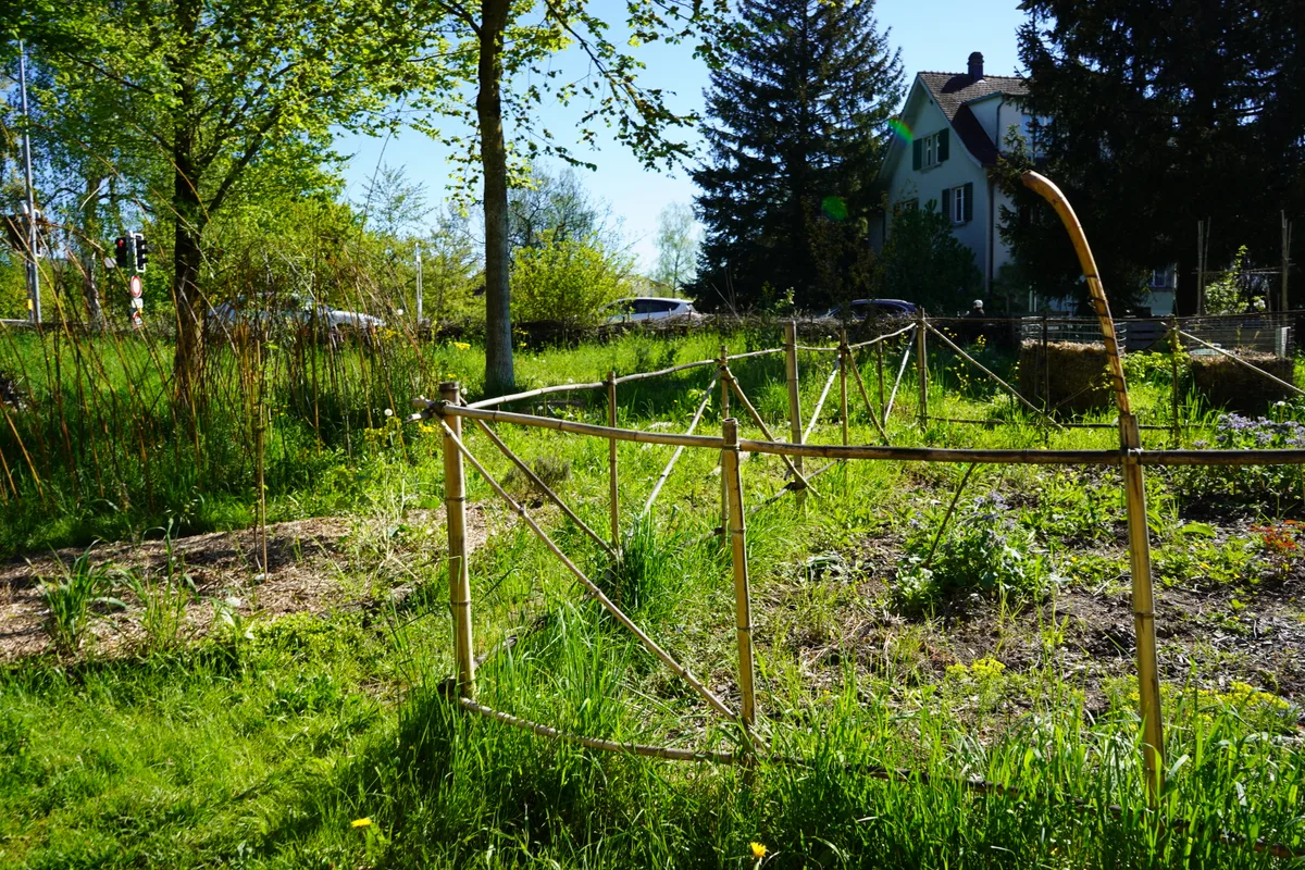 Die Projekte aus dem Ideenwettbewerb der Stadt Dübendorf nehmen langsam Form an.